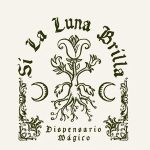 lamina de elixer (12)