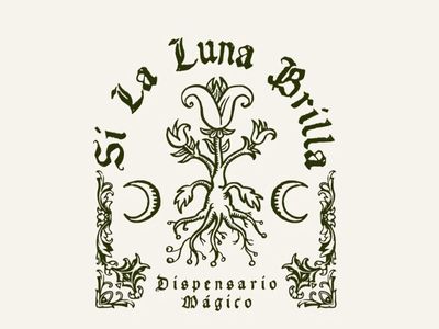 lamina de elixer (12)